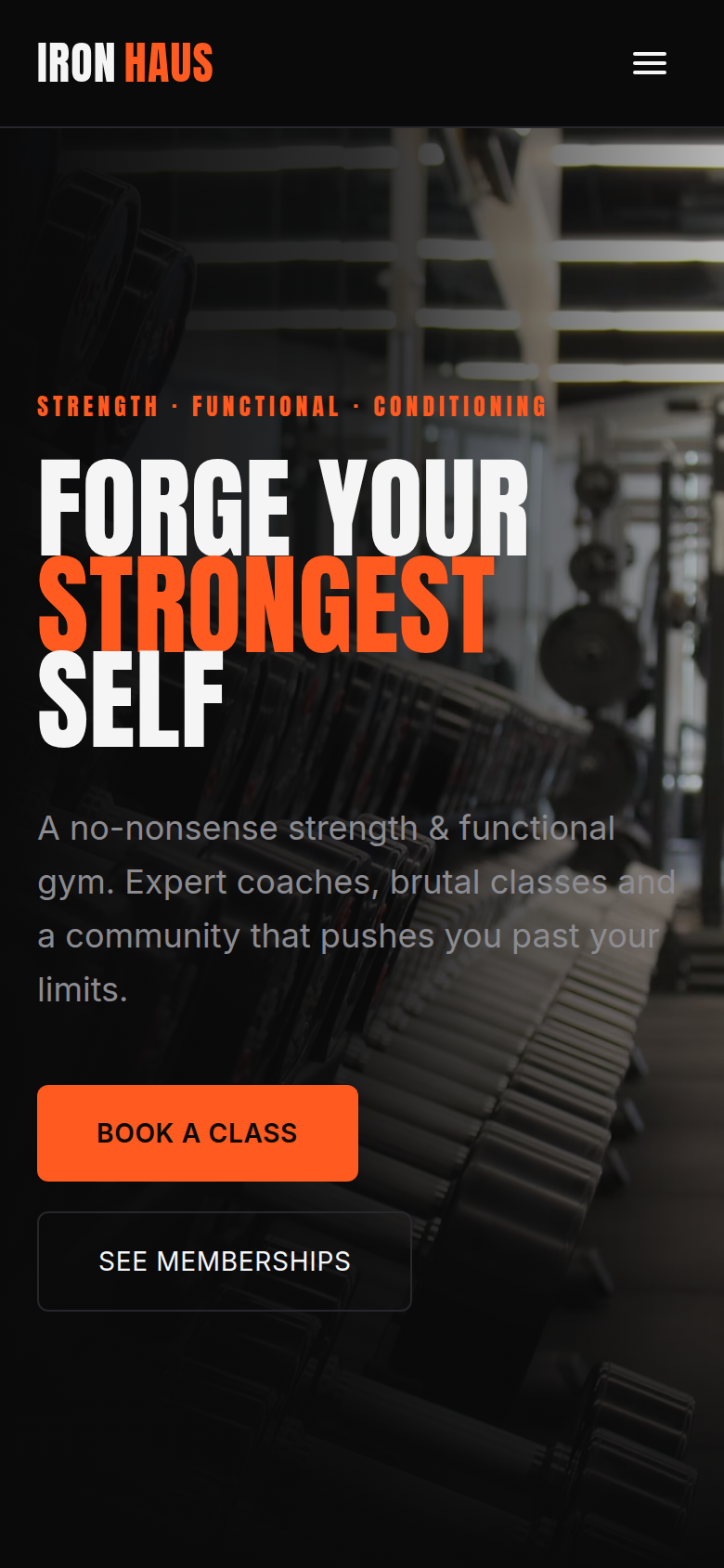 IRONHAUS Gym — 4