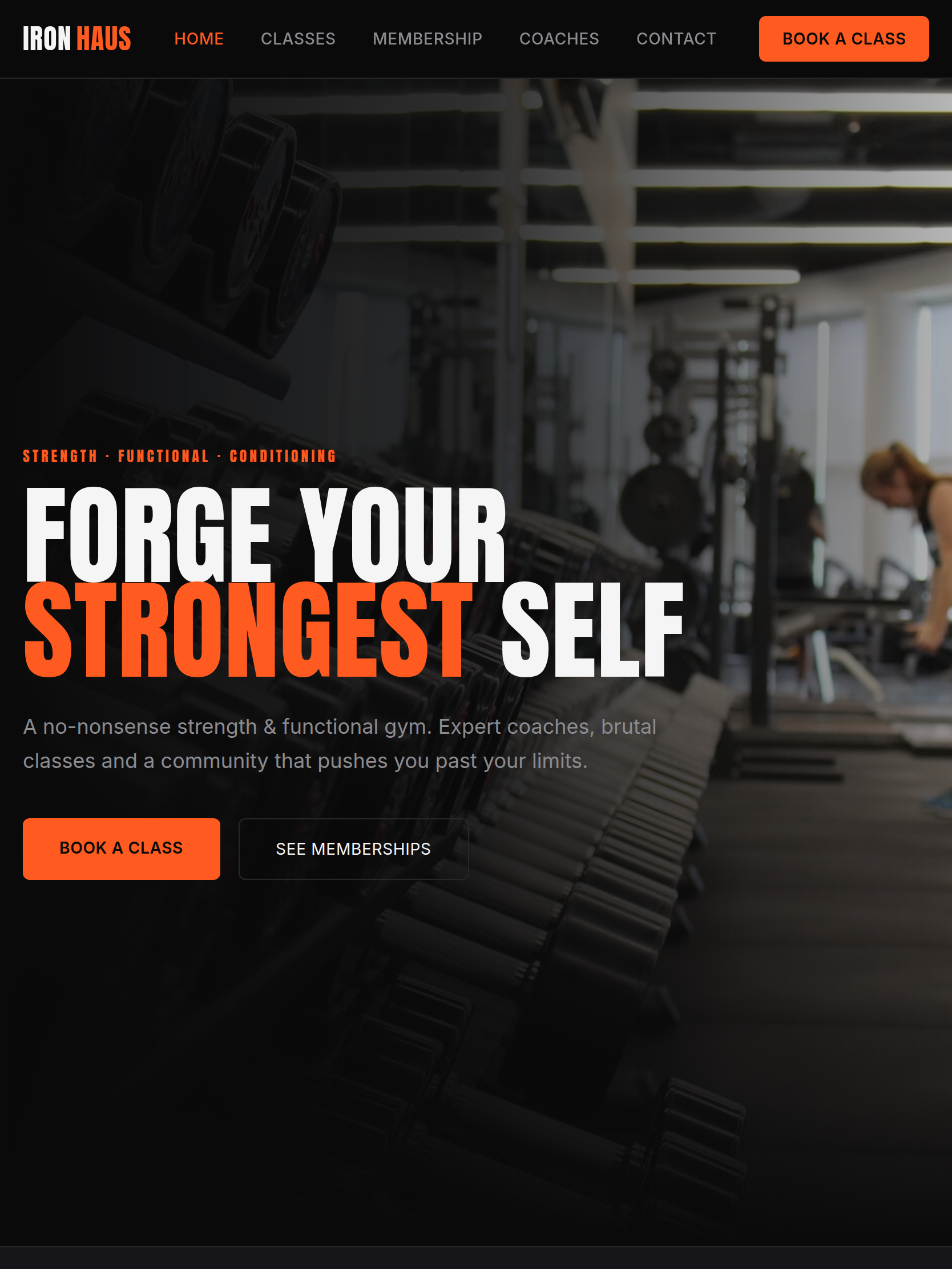 IRONHAUS Gym — 3